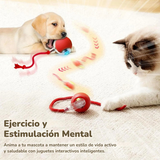Cachorro y gato jugando con la pelota interactiva roja