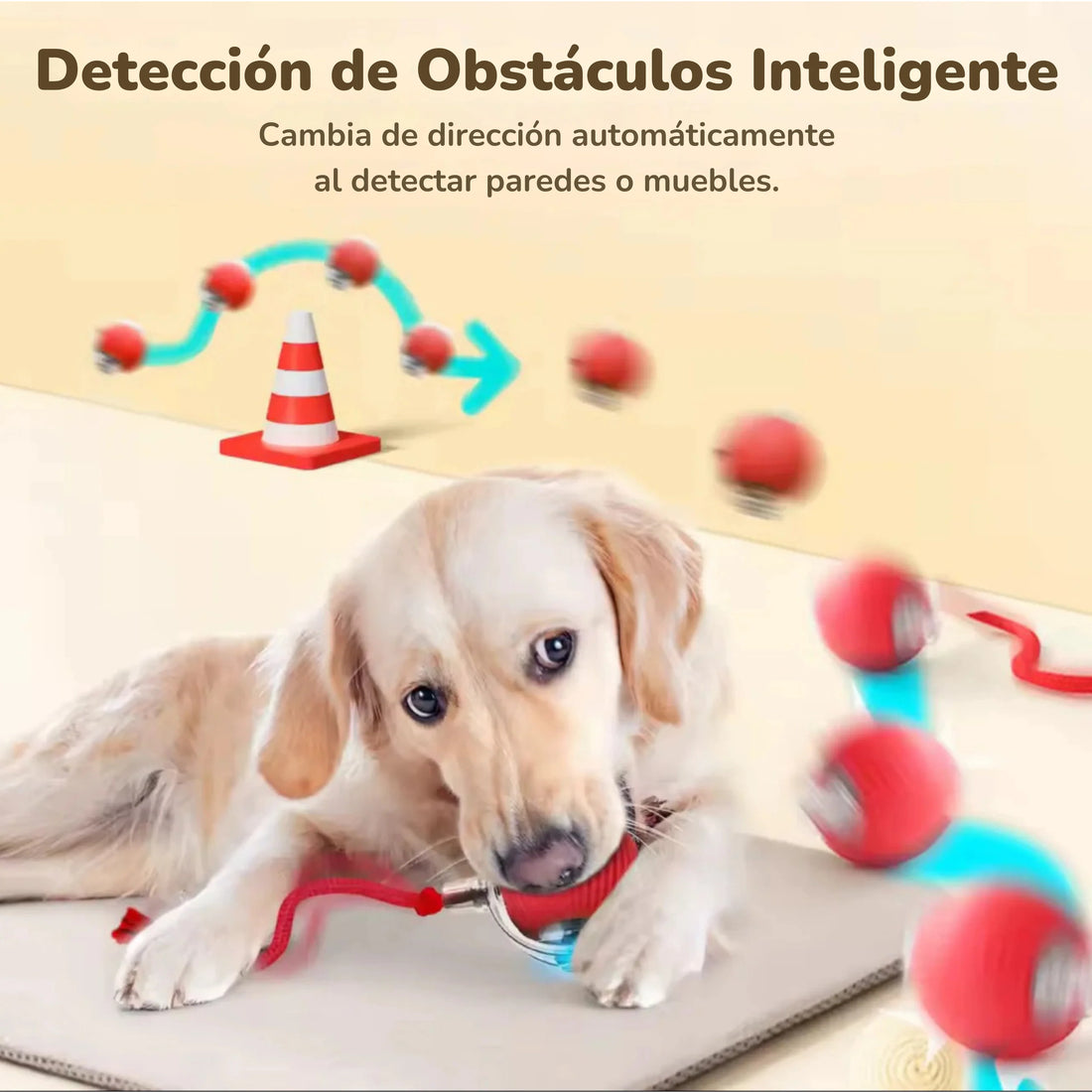 Pelota interactiva para gatos y perros · Se mueve sola, recargable USB-C