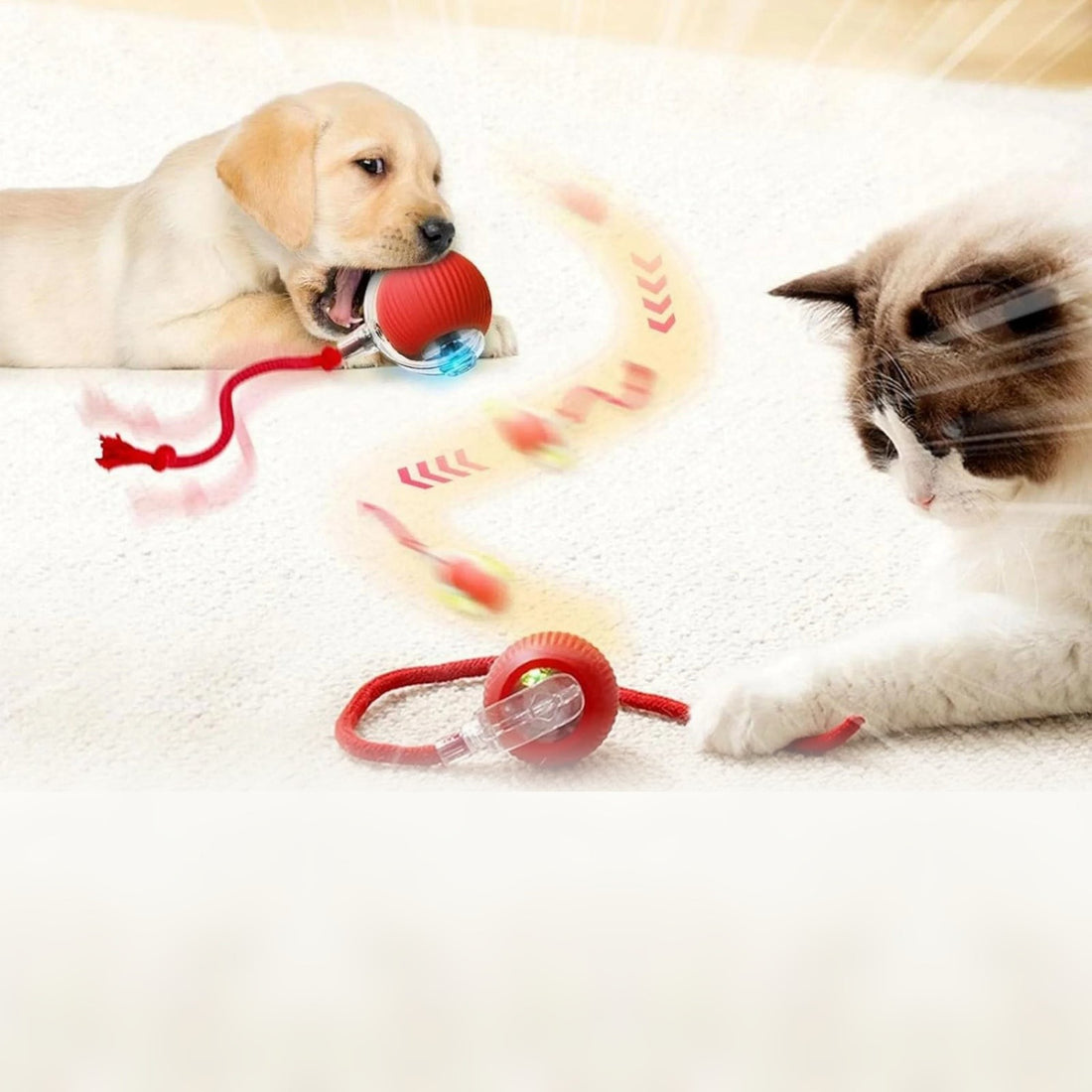 Pelota interactiva para gatos y perros · Se mueve sola, recargable USB-C
