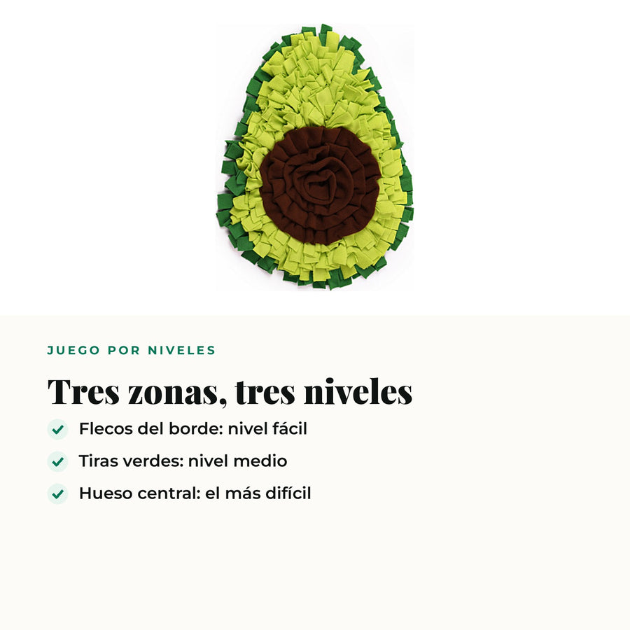 Las tres zonas de la alfombra olfativa