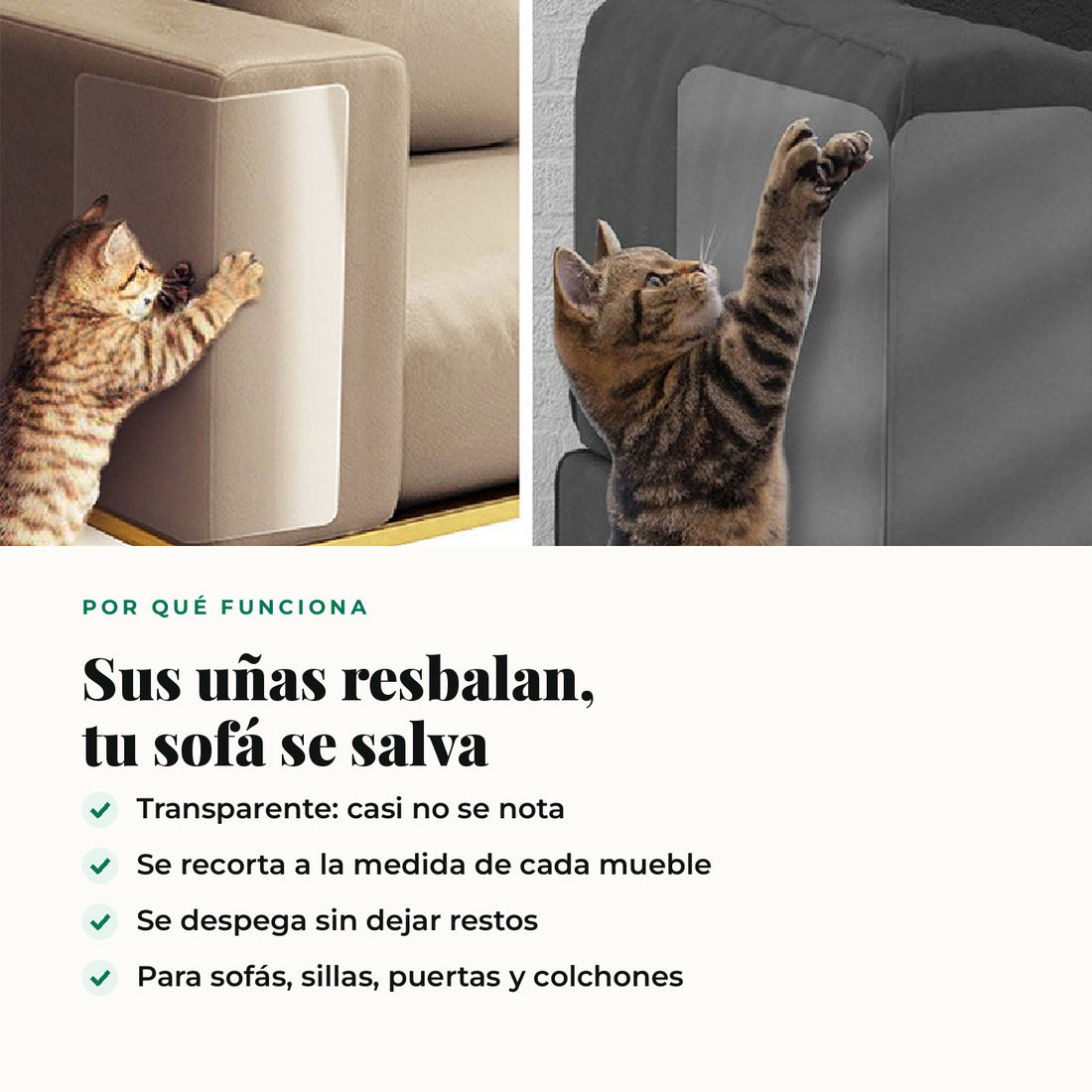 Protector de Sofá Antiarañazos para Gatos · 8 Láminas