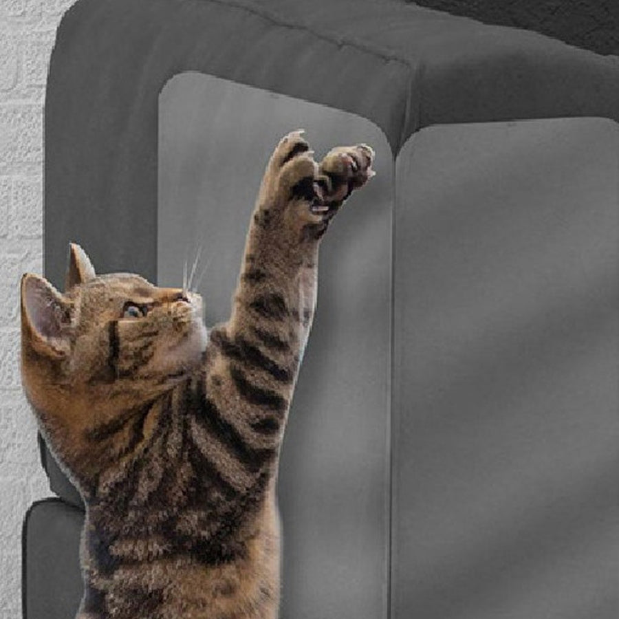 Gato estirándose contra un sofá gris protegido con una lámina transparente